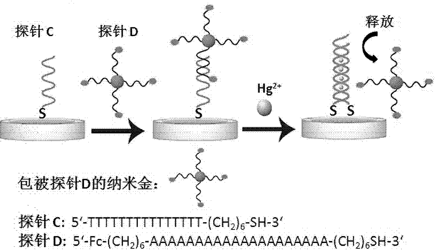 Electrochemical transducer for mercury ion detection and manufacturing method and detection method thereof