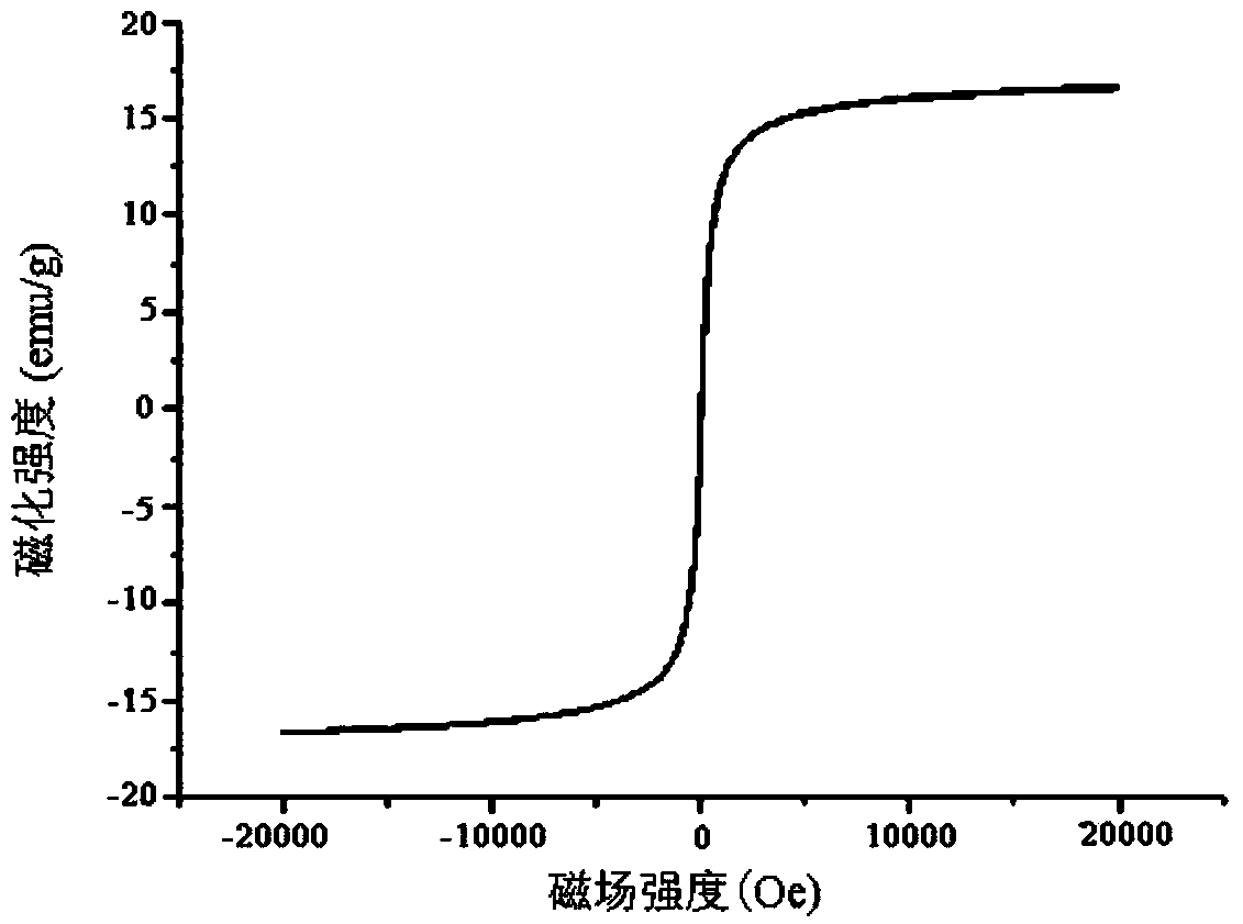 Preparation method of magnetic imprinted polymer for separating and purifying ractopamine