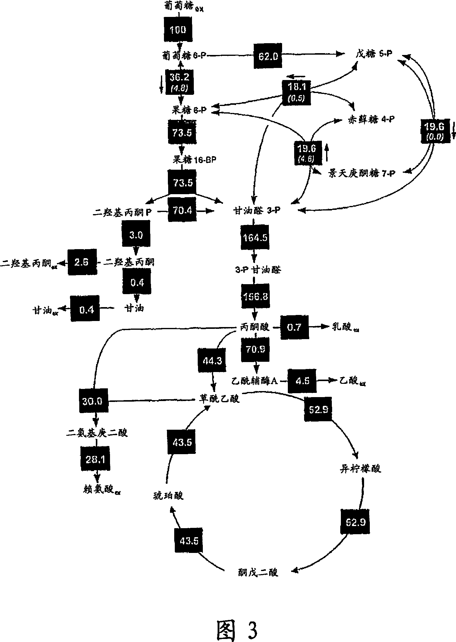 Methods for the preparation of a fine chemical by fermentation