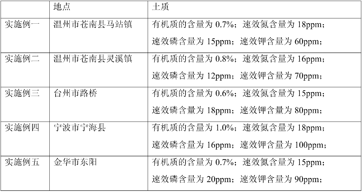 Storage transportation-resistant tomato seed selection method