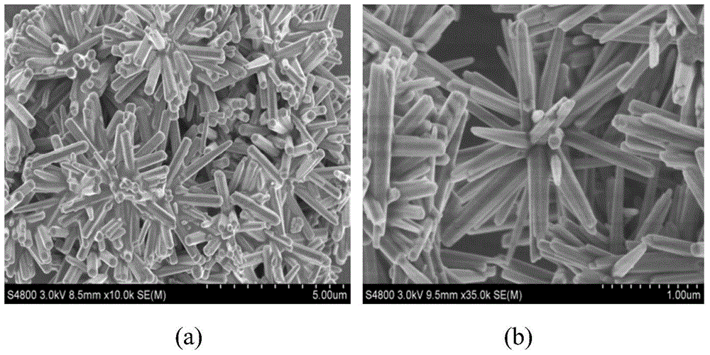 A kind of sea urchin-shaped modified nano zno photocatalyst and its preparation method and application