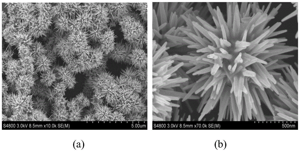 A kind of sea urchin-shaped modified nano zno photocatalyst and its preparation method and application