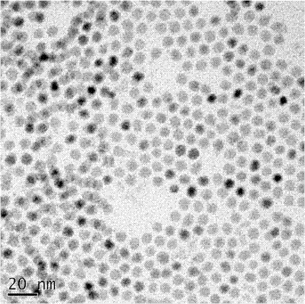 Preparation method of PbTe colloid nanocrystalline self-assembly film