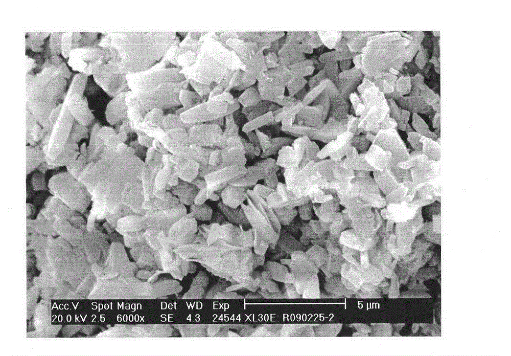 Preparation method for MFI/MOR composite zeolite molecular sieve catalyst without binder