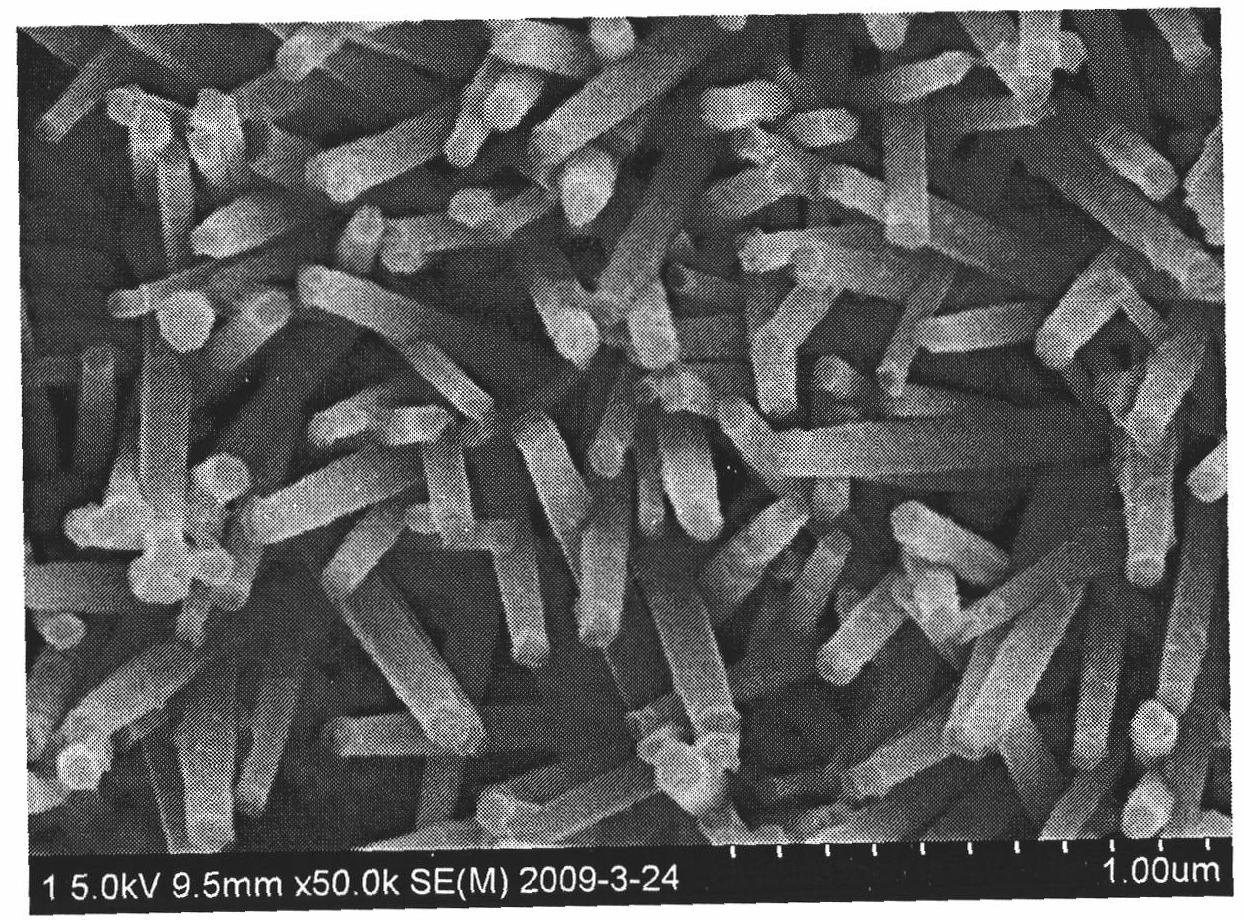 Preparation method of micro-channel vertical-growth TiO2-clading ZnO nano rod array