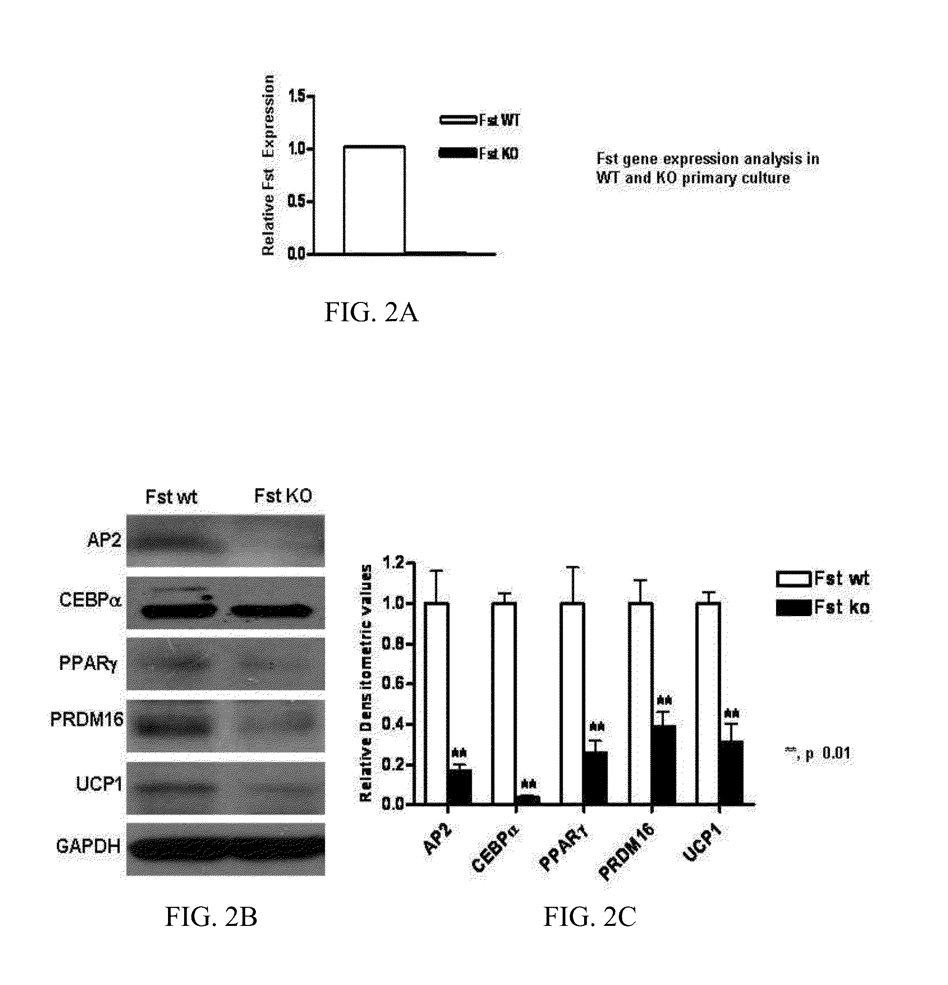 Compositions and methods for treating or preventing metabolic syndrome disorders