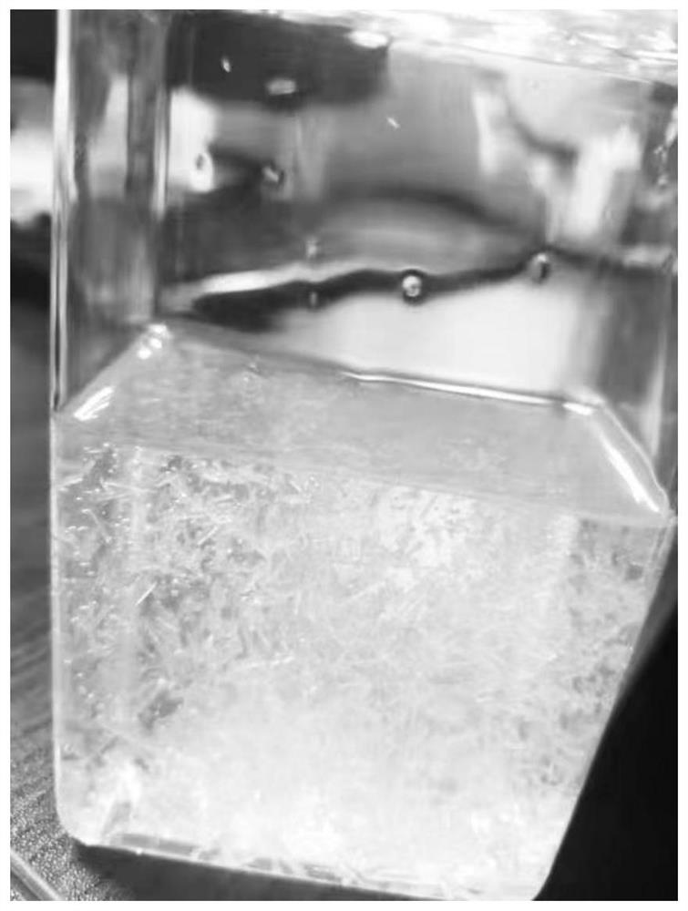 Ice crystal amino acid shower gel and preparation method thereof