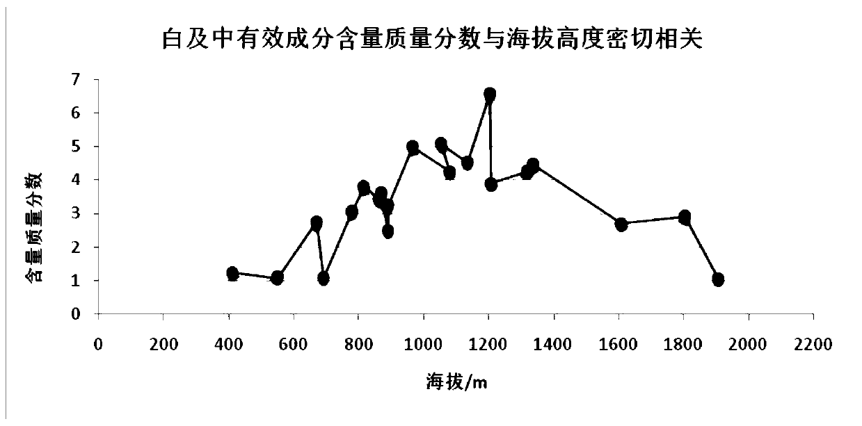 Whole ecological Yangshan-county hyacinth bletilla tuber cultivation technology