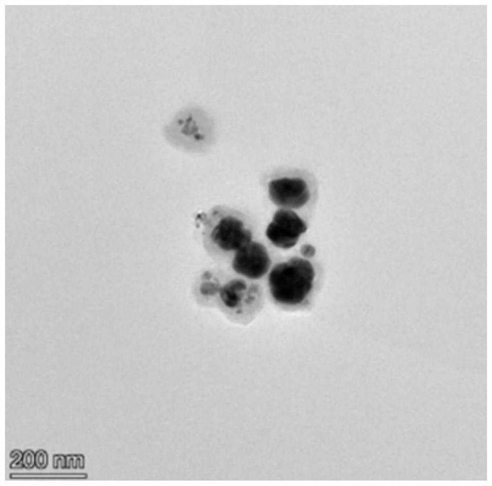 Hydrogen enhanced Raman spectrum detection method for sulfydryl gas in plasmon MOF (Metal Organic Framework)