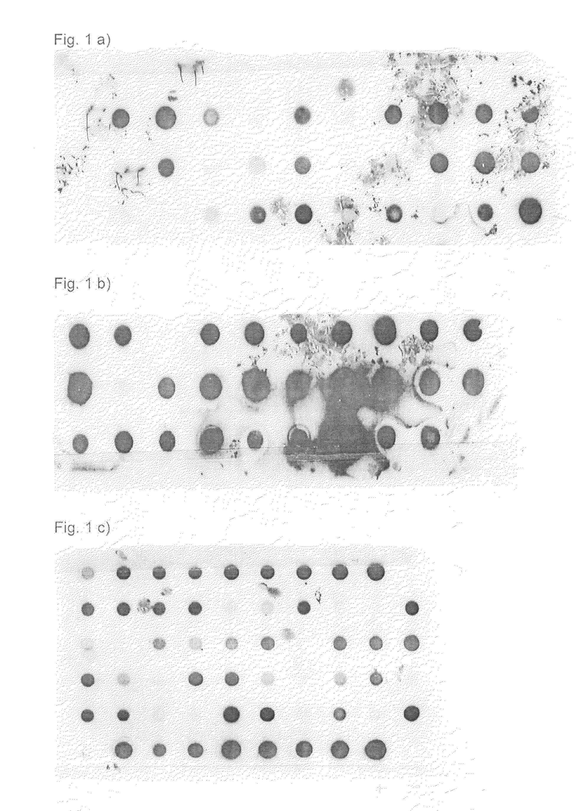 Specific and high affinity binding proteins comprising modified sh3 domains of fyn kinase