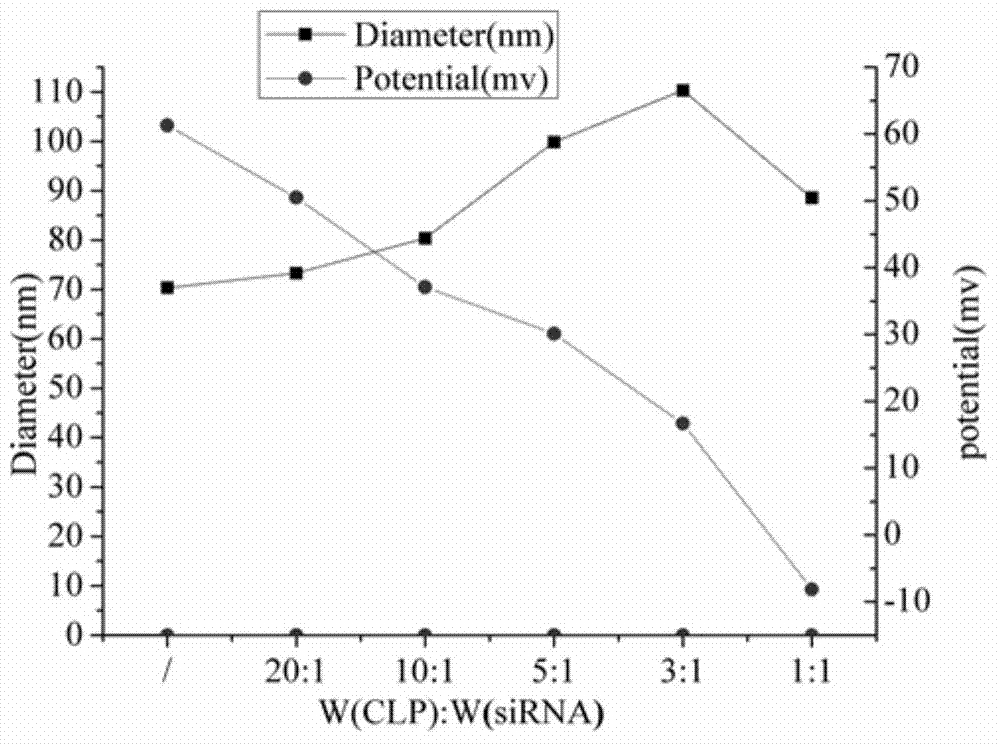 Cationic liposome, and preparation method and application thereof