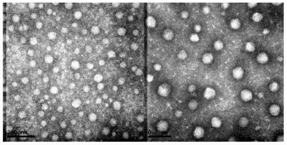 Cationic liposome, and preparation method and application thereof