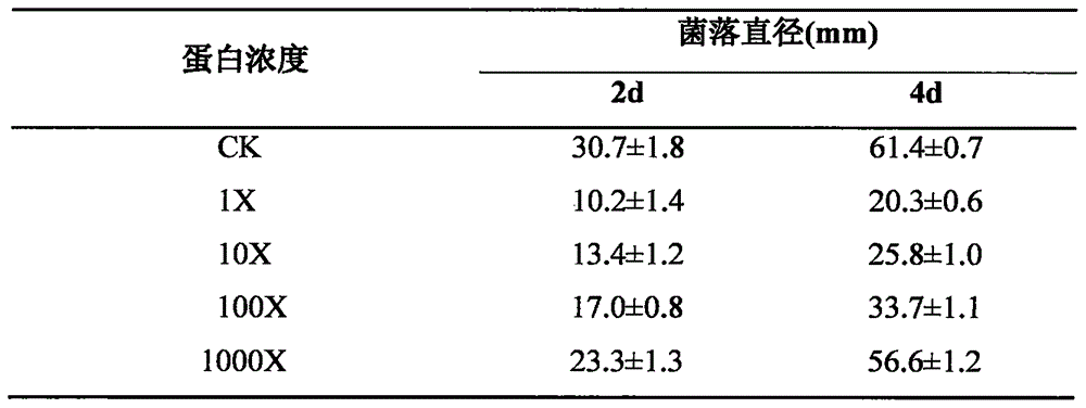 Penicillin binding protein antibacterial agent and novel application thereof