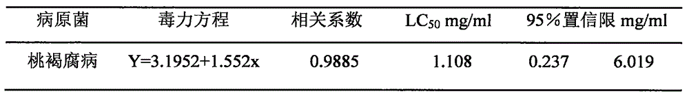 Penicillin binding protein antibacterial agent and novel application thereof