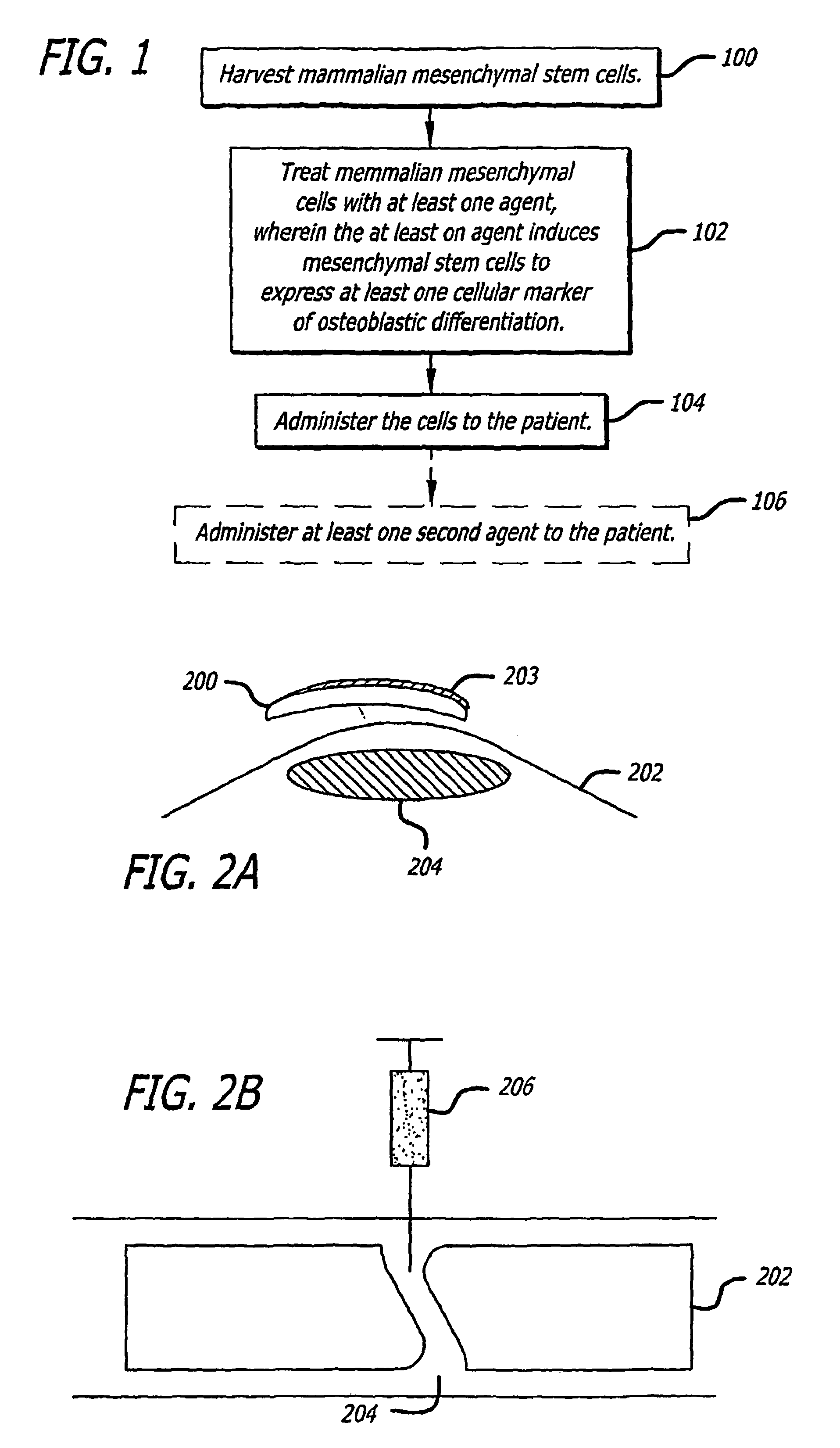 Agents and methods for enhancing bone formation