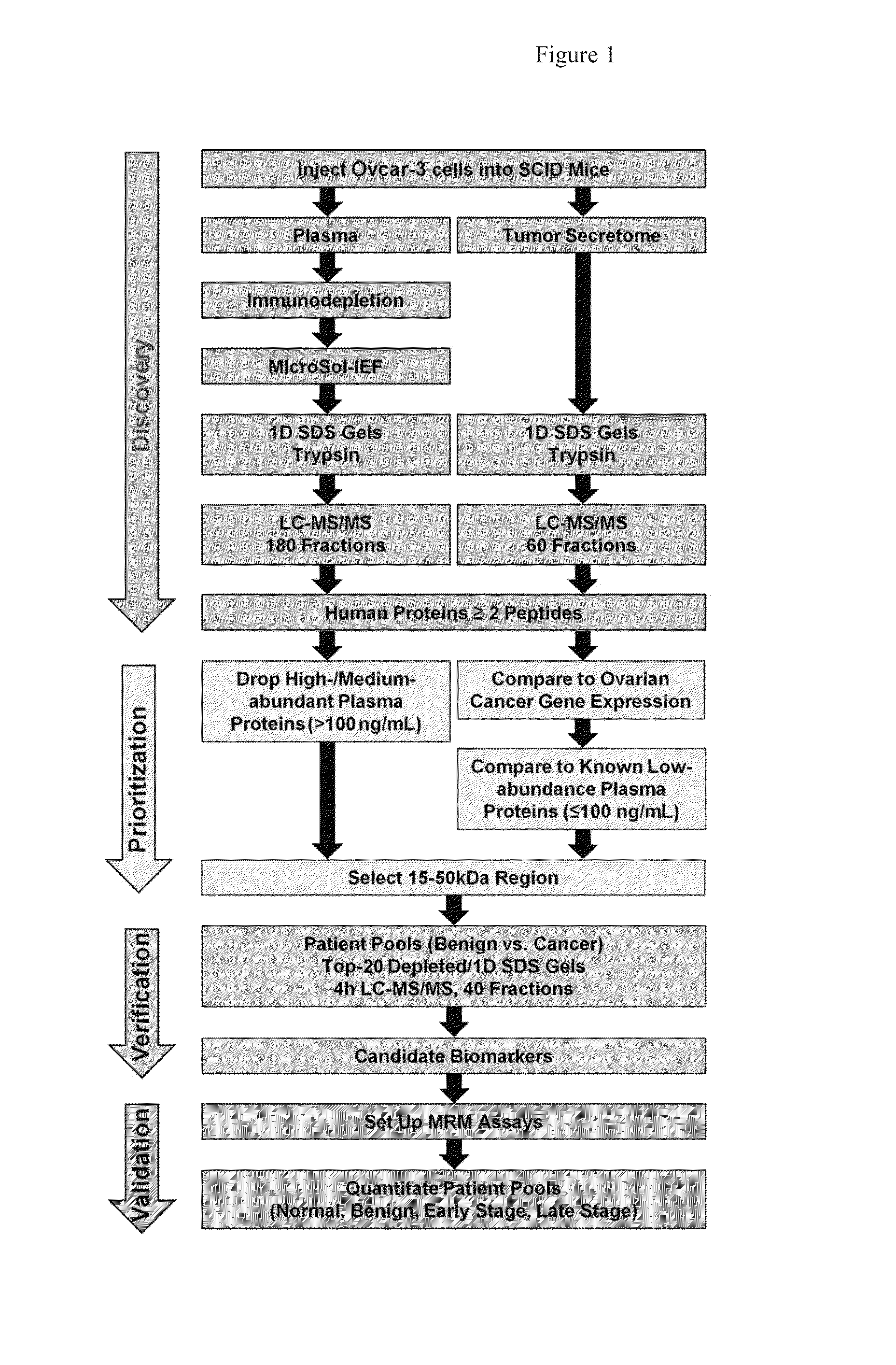 Methods and Compositions for Diagnosis of Ovarian Cancer