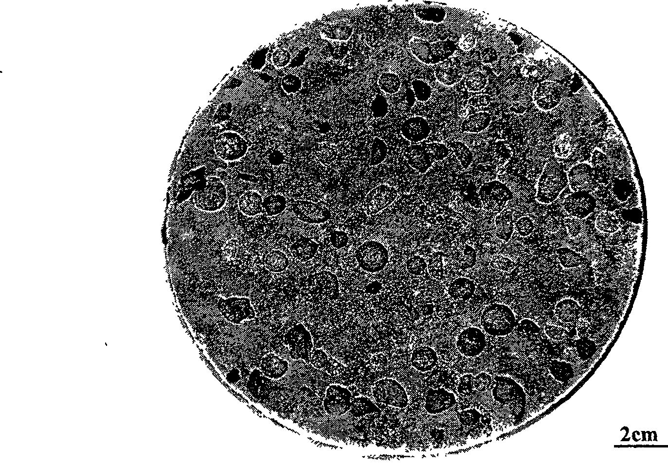 Method for preparing pore-space feature controlled lightweight high-strength porous nickel titanium memory alloys