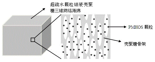 Preparation method of super-hydrophobic particle/chitosan framework composite oil-absorption sponge