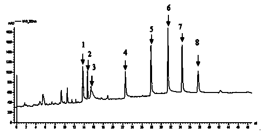 Method for extracting total saponins from allium chinense