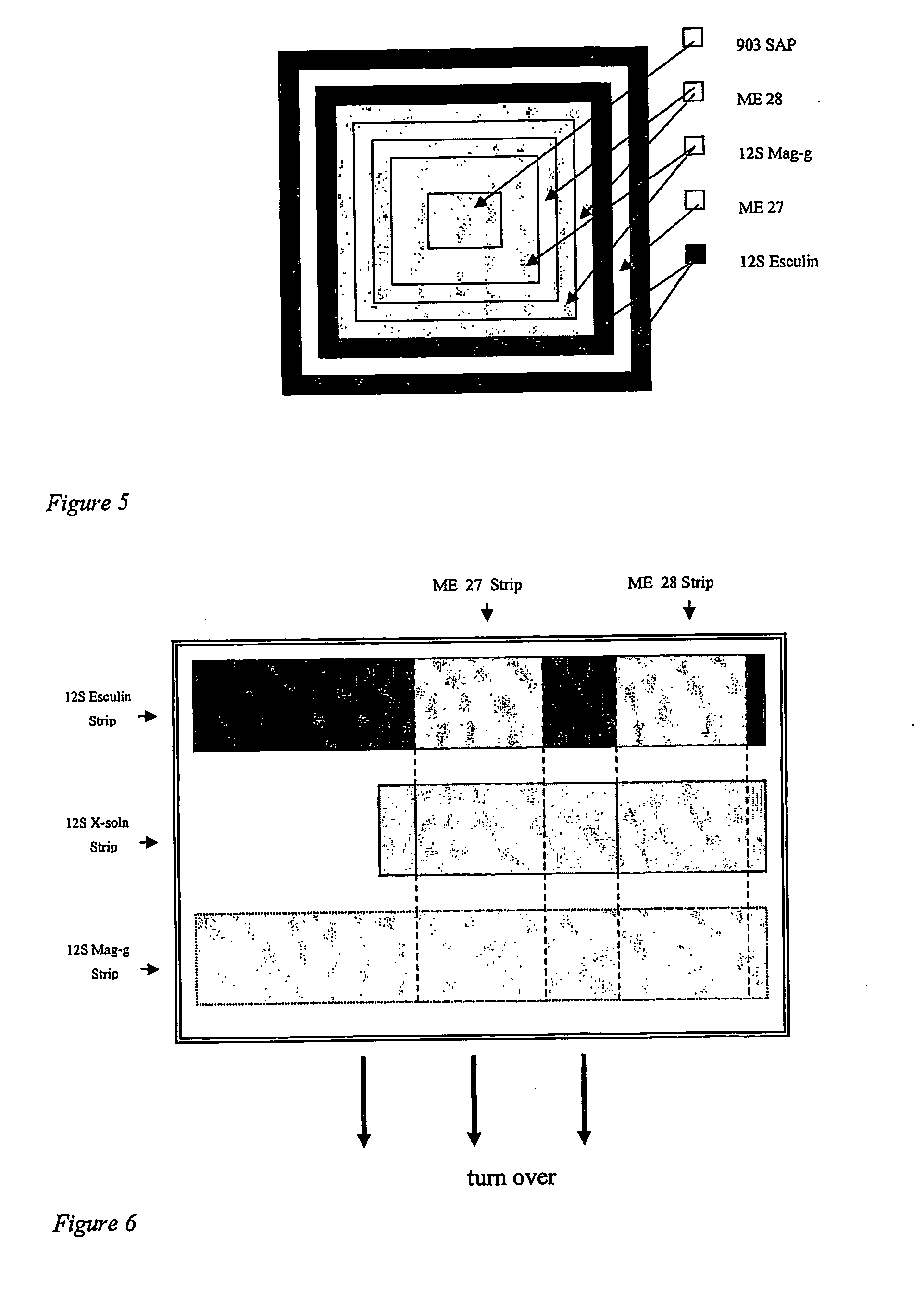 Microorganism detector