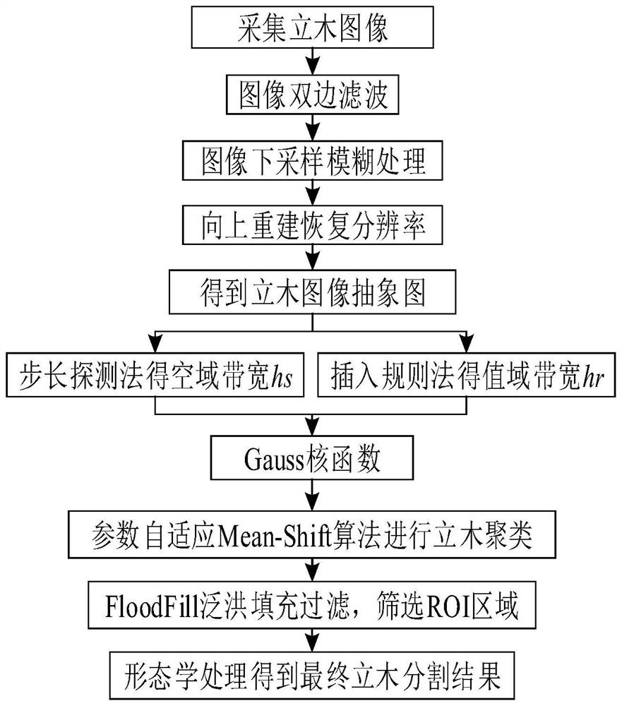 Adaptive mean-shift standing tree image segmentation method based on image abstraction