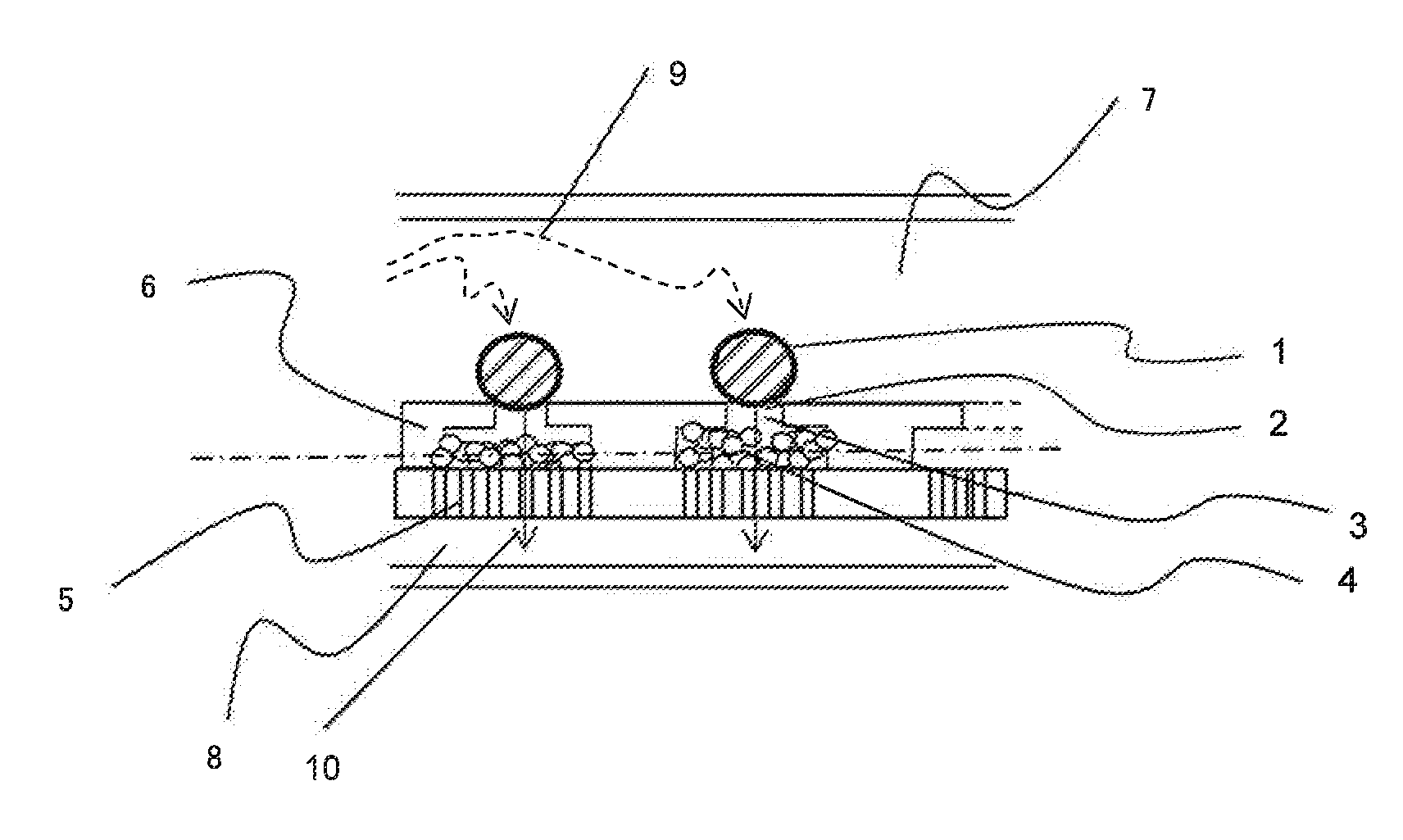 Two-Dimensional Cell Array Device and Apparatus for Gene Quantification and Sequence Analysis