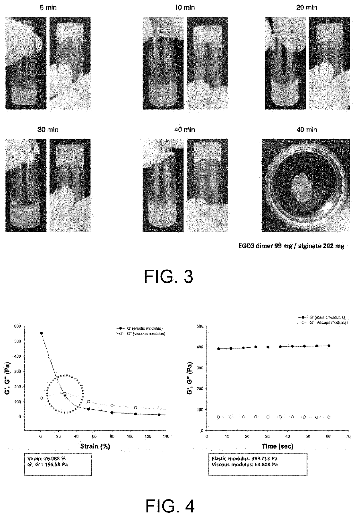 Alginate microcapsules for cell encapsulation and, manufacturing method therefor