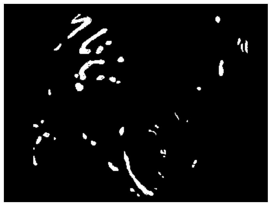 Detection and restoration system for mucous membrane image reflective area of endoscope