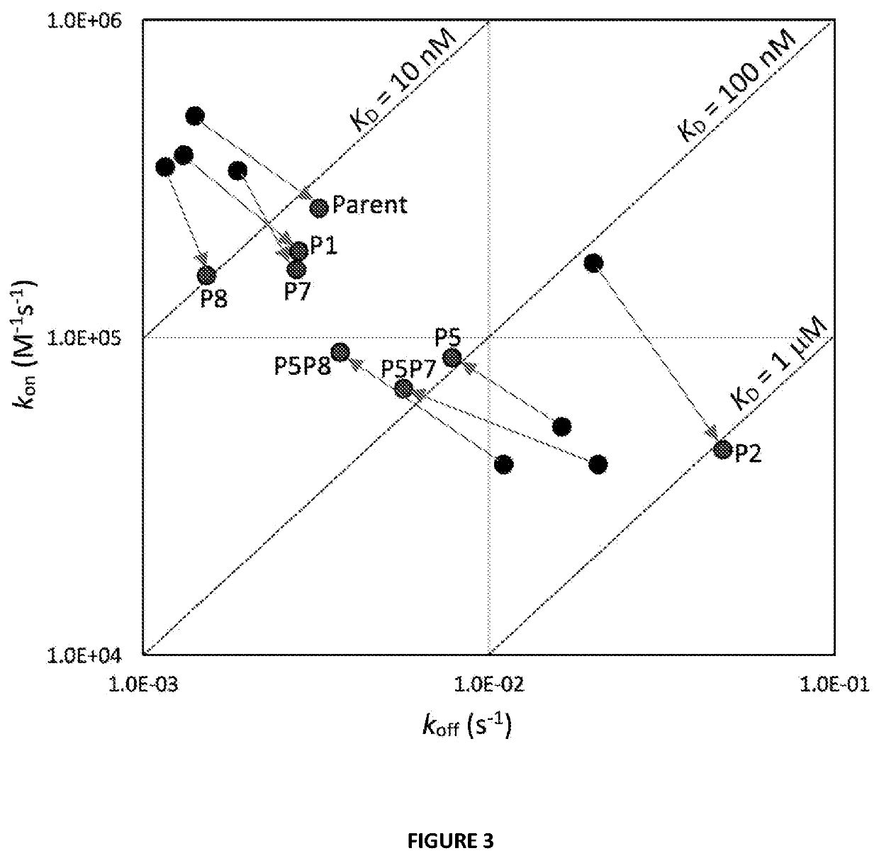 Antibody variants with ph-dependent antigen binding for selective targeting of solid tumors