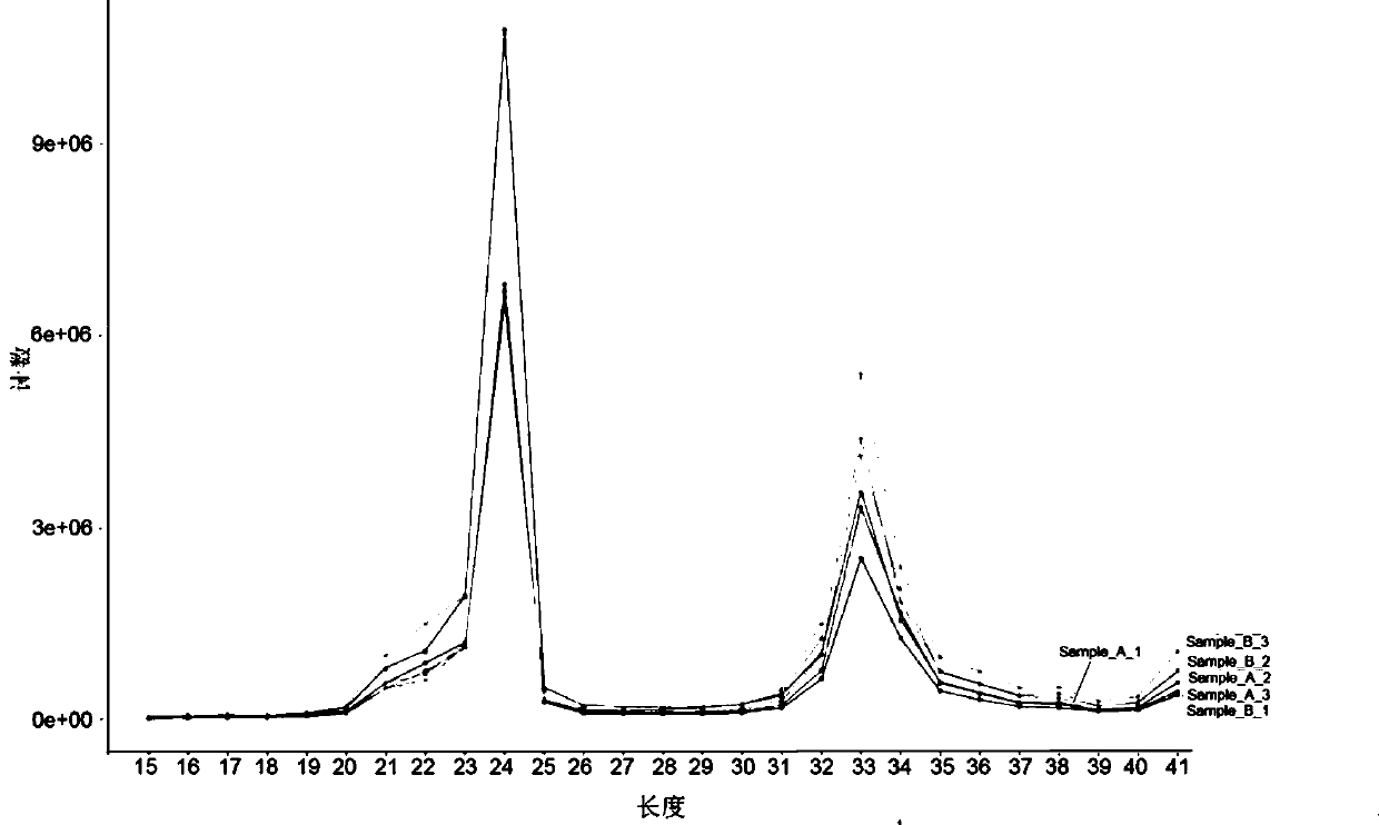 OPR gene for regulating and controlling fatty acid of oilseed rapes, expression vector of OPR gene and application of expression vector