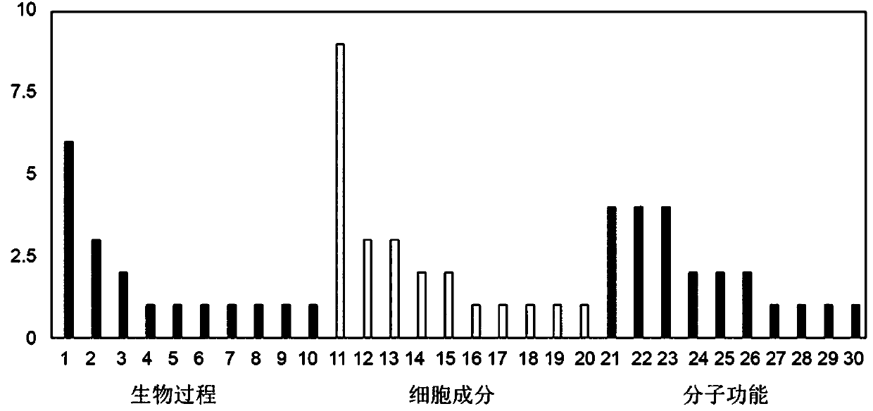 OPR gene for regulating and controlling fatty acid of oilseed rapes, expression vector of OPR gene and application of expression vector