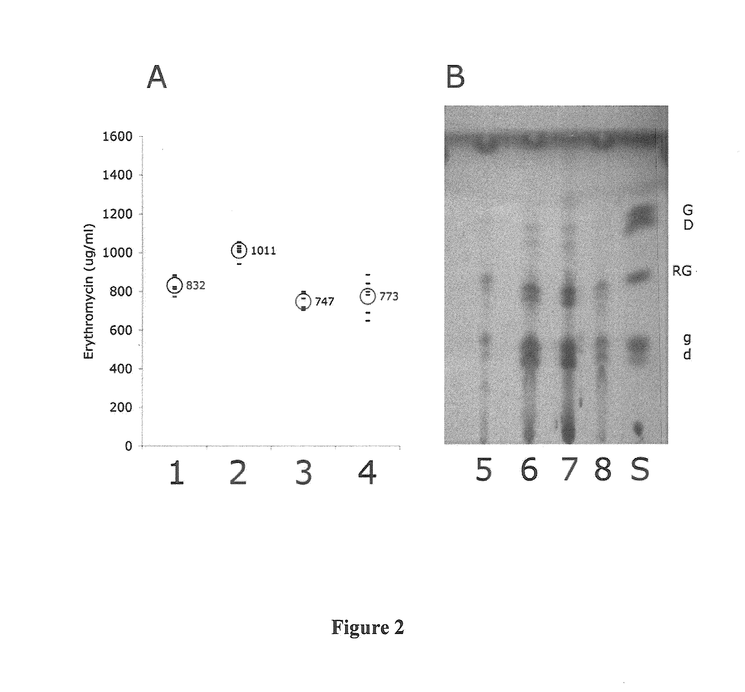 Soybean-Based Fermentation Media, Methods of Making And Use