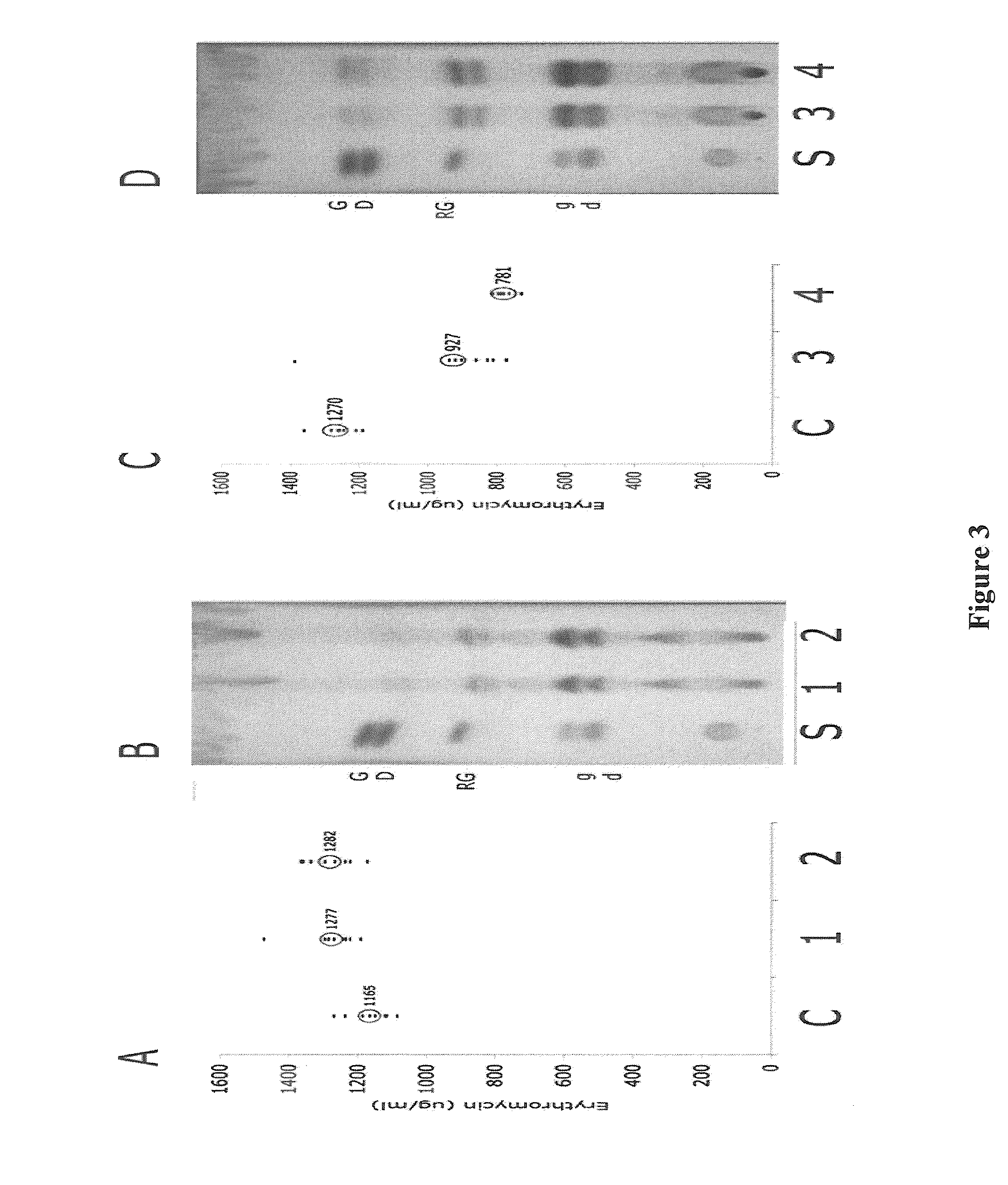 Soybean-Based Fermentation Media, Methods of Making And Use