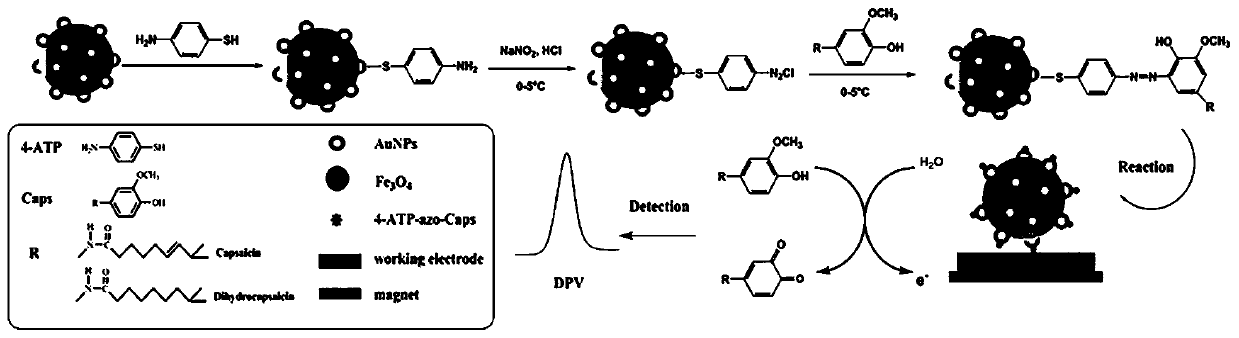 Electrochemical detection method of capsaicins in illegal cooking oil