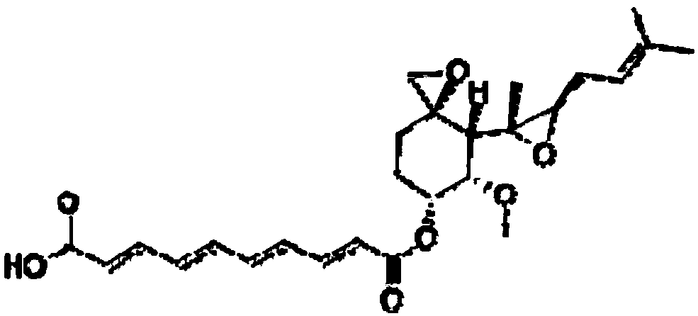 A kind of extraction method of fumagillin