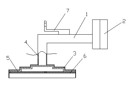 Collection filtering device