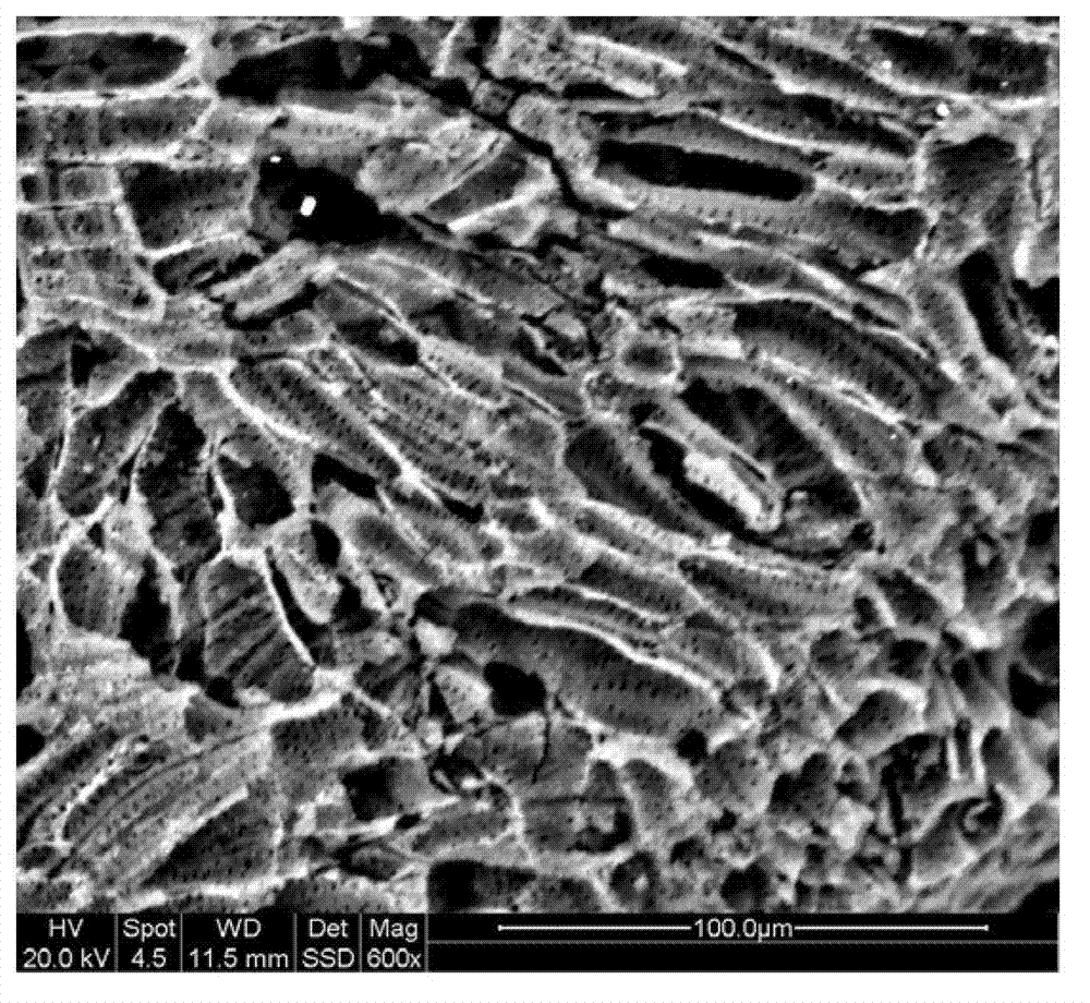 Coke particle biomembrane carrier and preparation method thereof