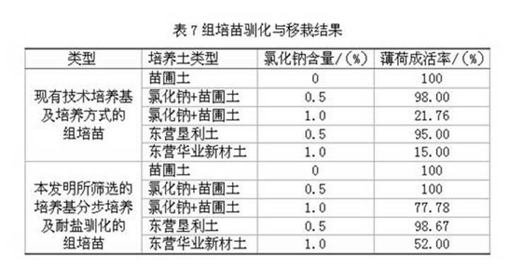 Tissue culture and rapid propagation method of salt-tolerant field mint