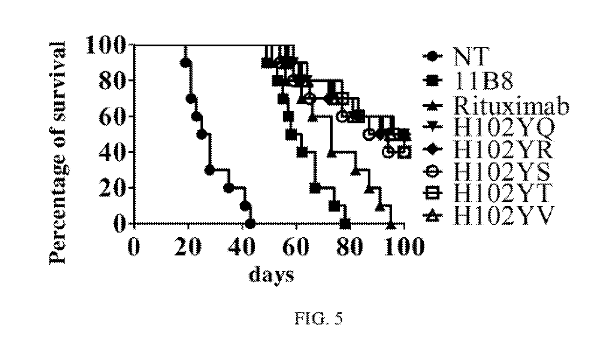 Anti-cd20 targeted antibody, and uses and technical field