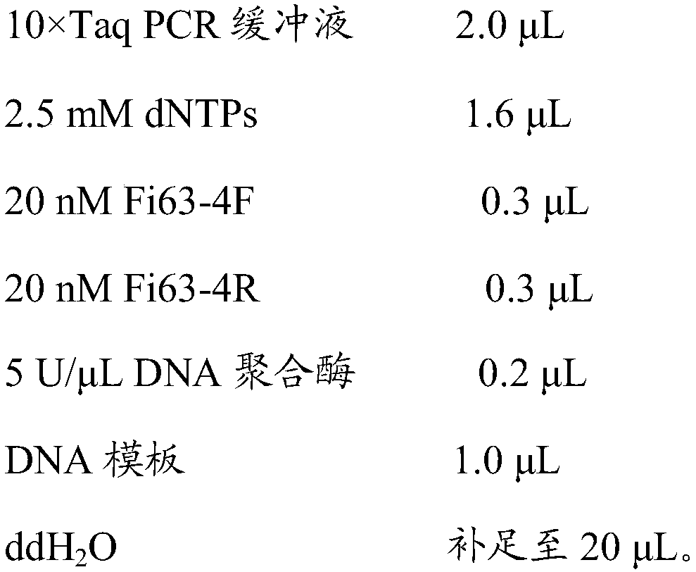 Specific SS-COI (species-specific-COI) primer based PCR rapid detection method for Frankliniella intonsa