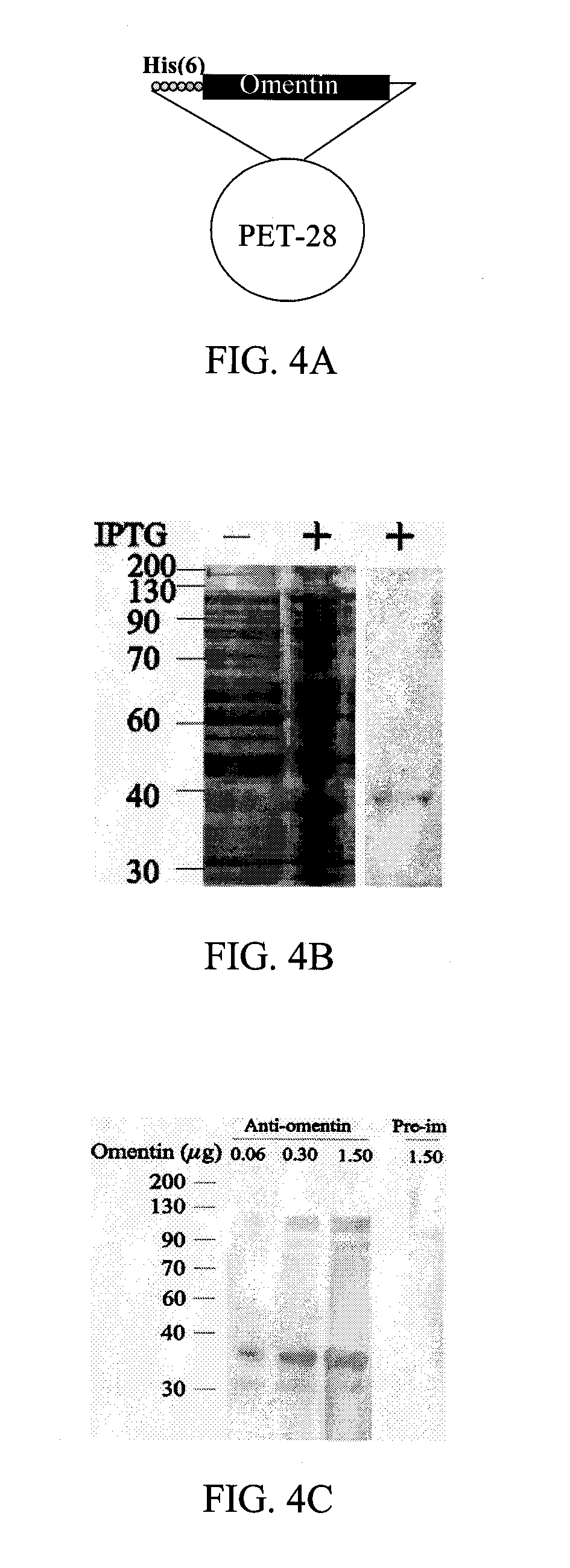 Method of modifying glucose activity using polypeptides selectively expressed in fat tissue