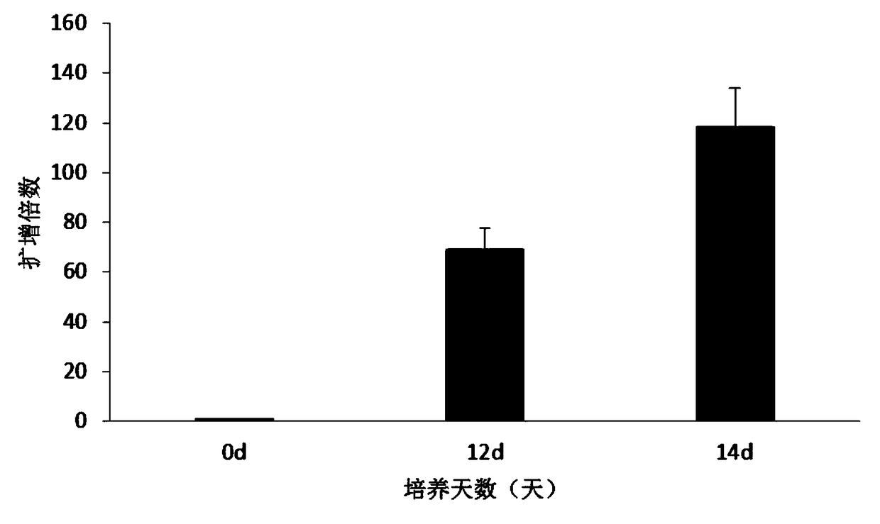 Natural killer cell culture medium and method for expanding and culturing natural killer cells