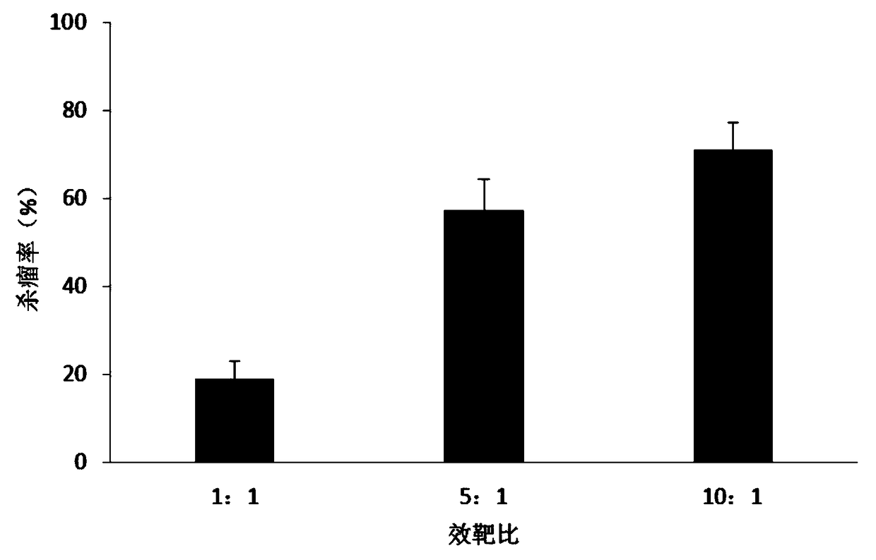 Natural killer cell culture medium and method for expanding and culturing natural killer cells