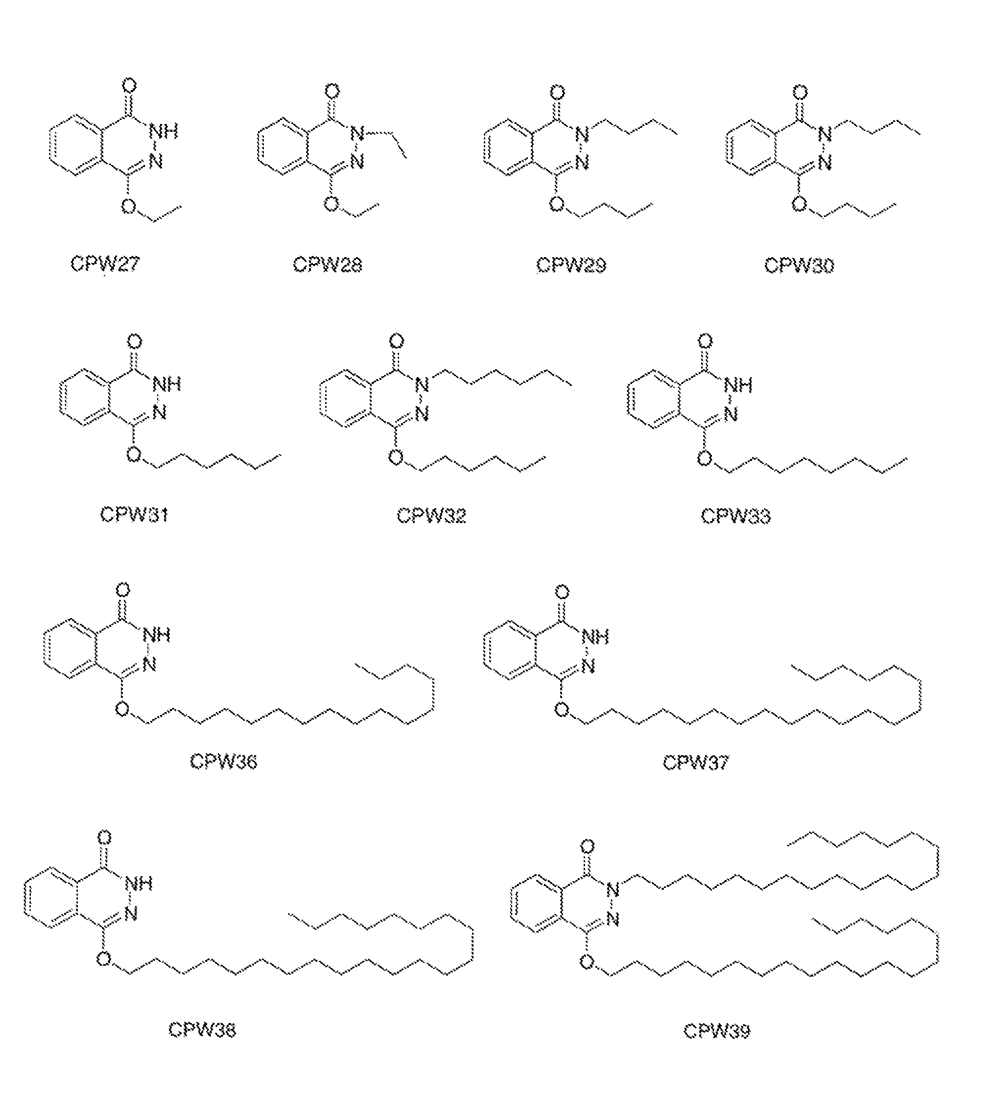 Lisofylline analogs and methods for use