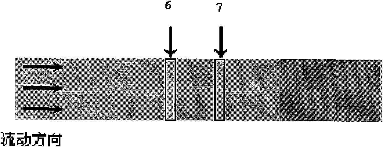 Colloidal gold immunochromatographic test strip for detecting shrimp allergen and preparation method thereof