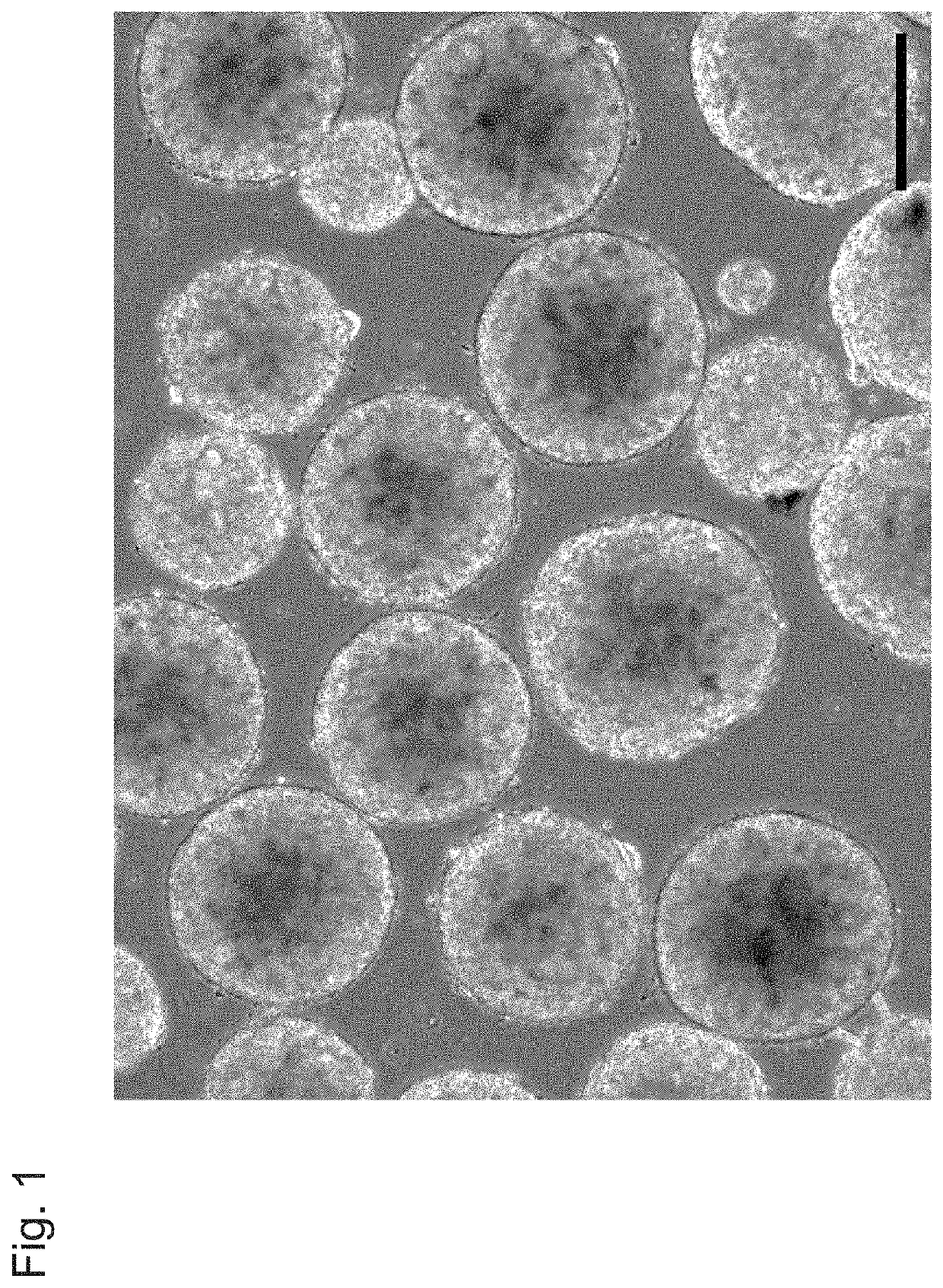 Method for culturing pluripotent stem cells