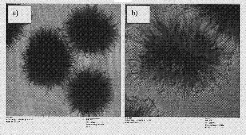 Monodisperse titanium dioxide nanometer microballoons and preparation method thereof