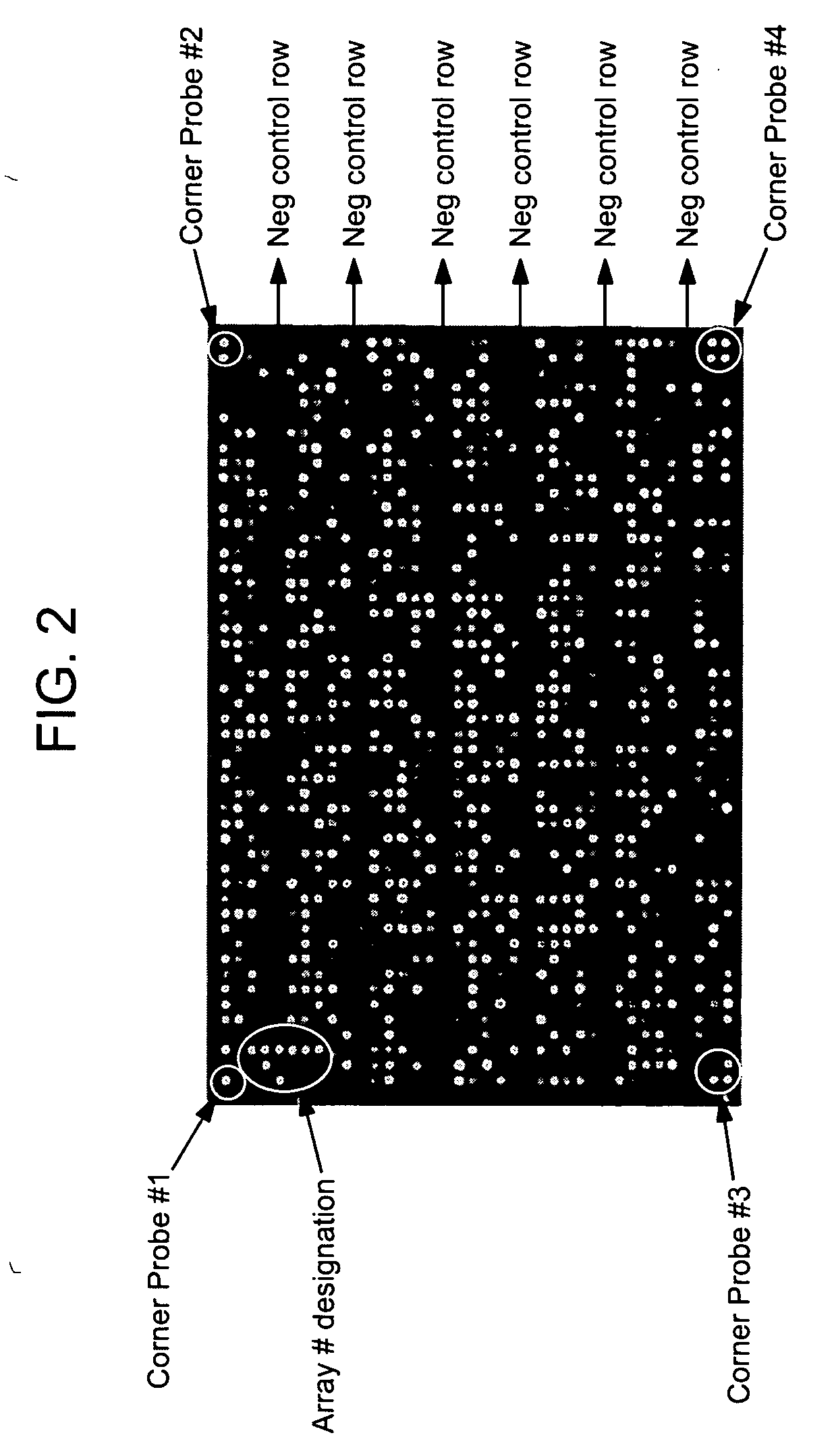 Methods for encoding non-biological information on microarrays