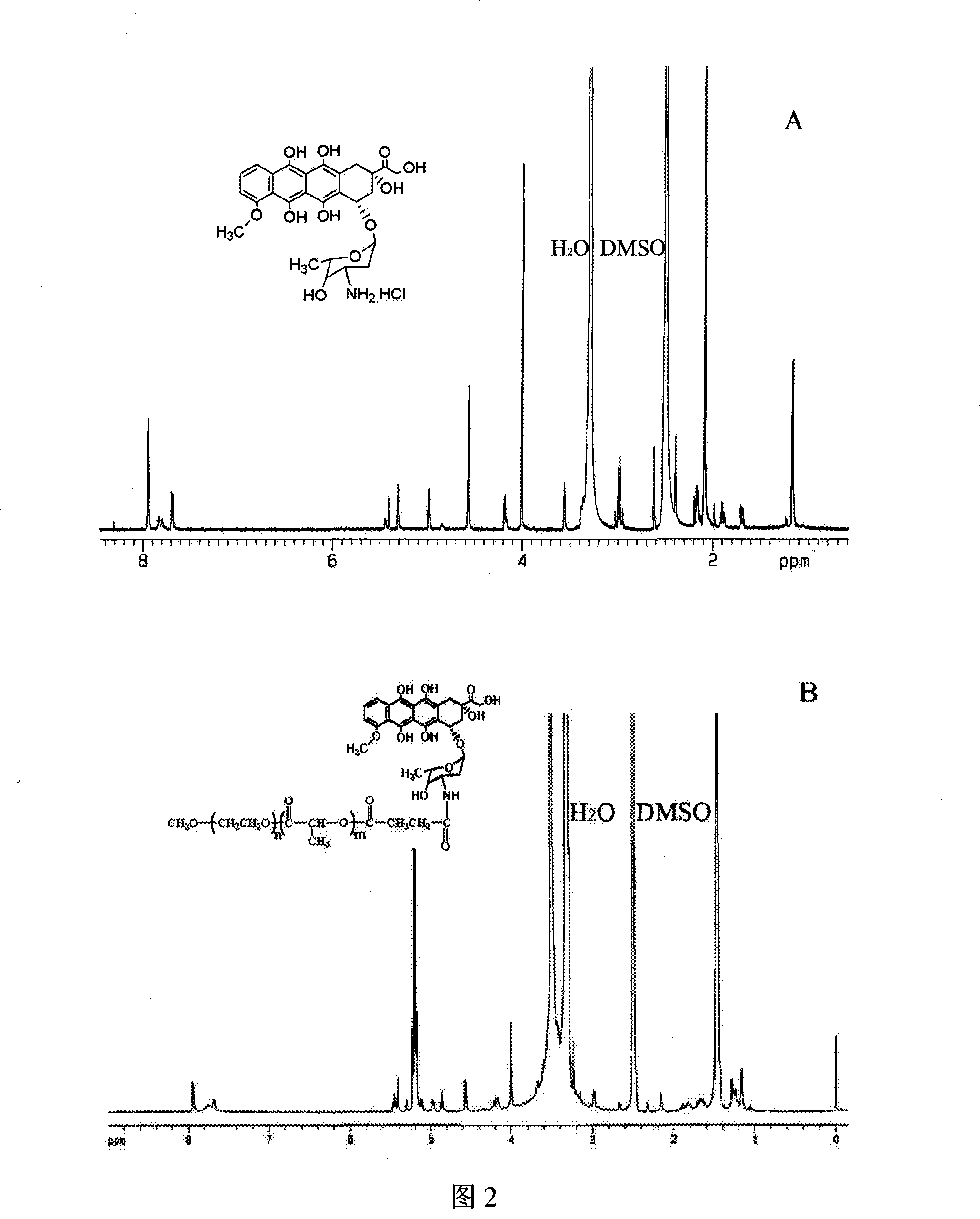 High molecule adriamycin bonding medicine nano capsule with targeting function and preparation thereof