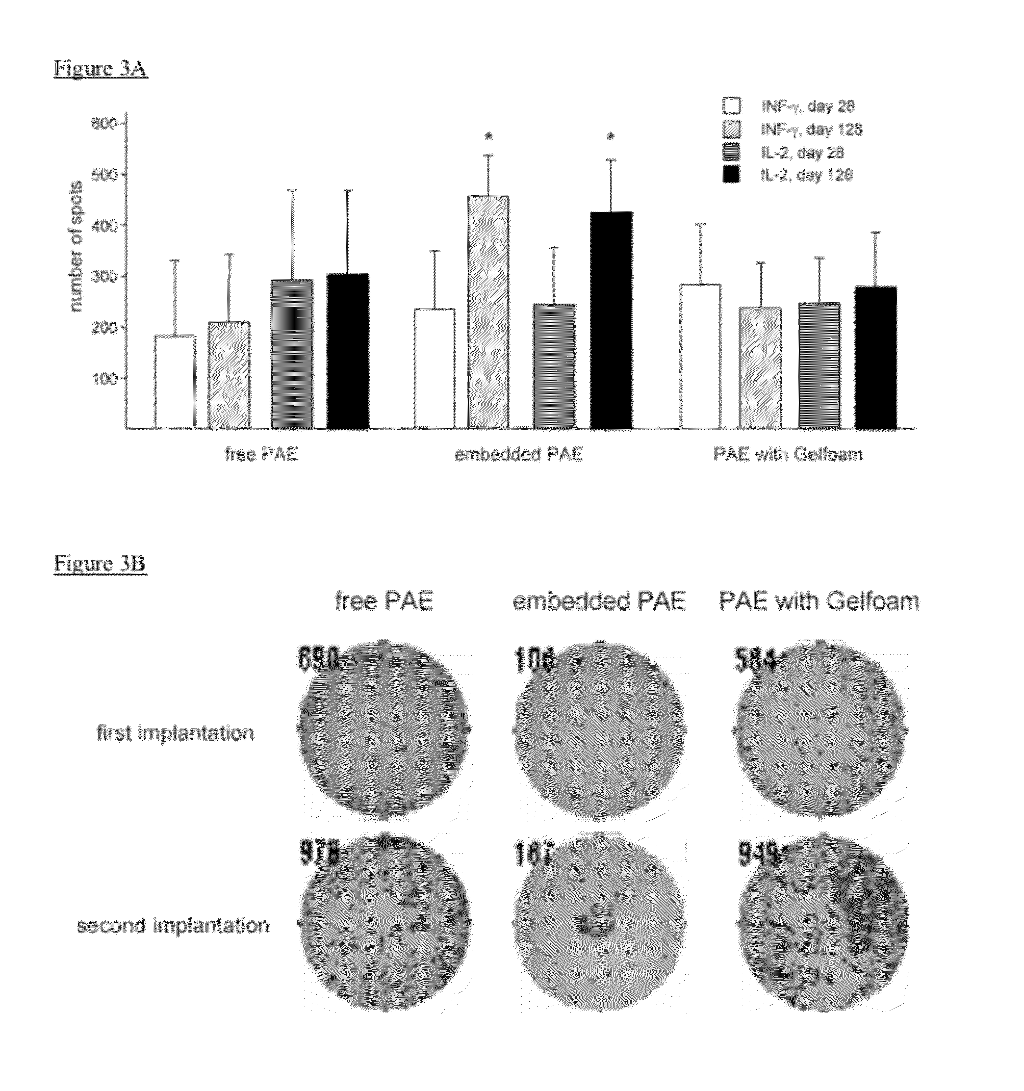 Materials and Methods for Altering an Immune Response to Exogenous and Endogenous Immunogens, Including Syngeneic and Non-Syngeneic Cells, Tissues or Organs